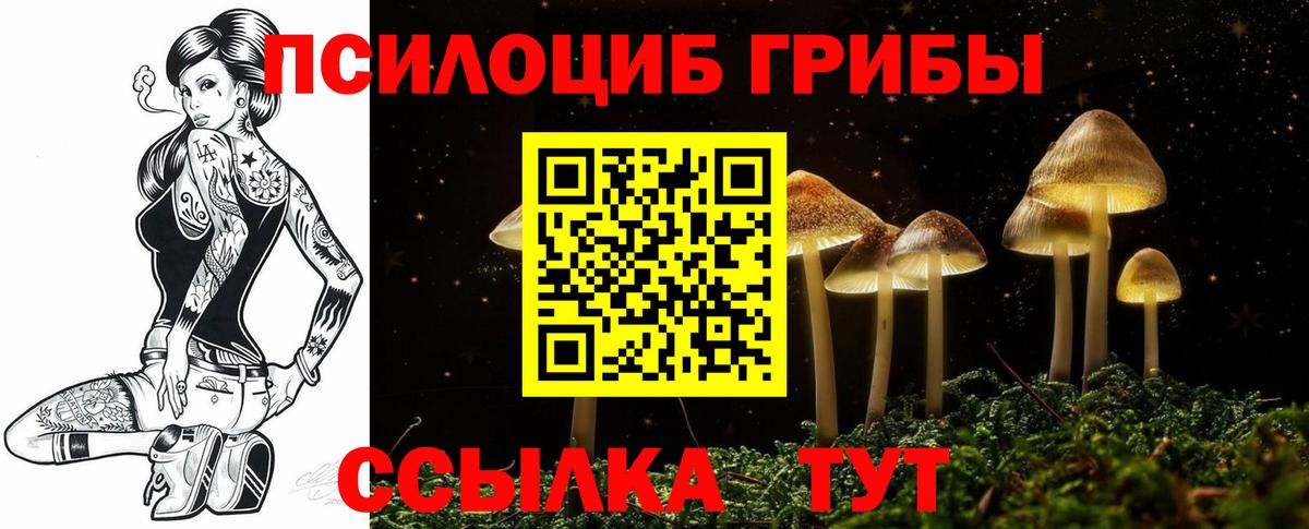 Дальнегорск  Псилоцибиновые грибы MAGIC MUSHROOMS  купить наркотик  Вход с VPN 